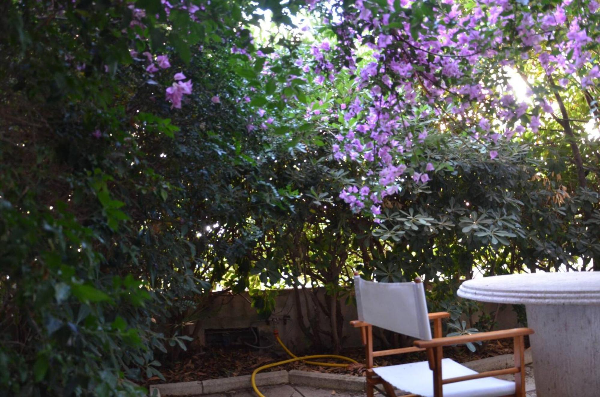 Fantastic Sardinia Villette Con Giardino Fronte Mare Fertilia Faho-Gav01-Gav02 Екстер'єр фото