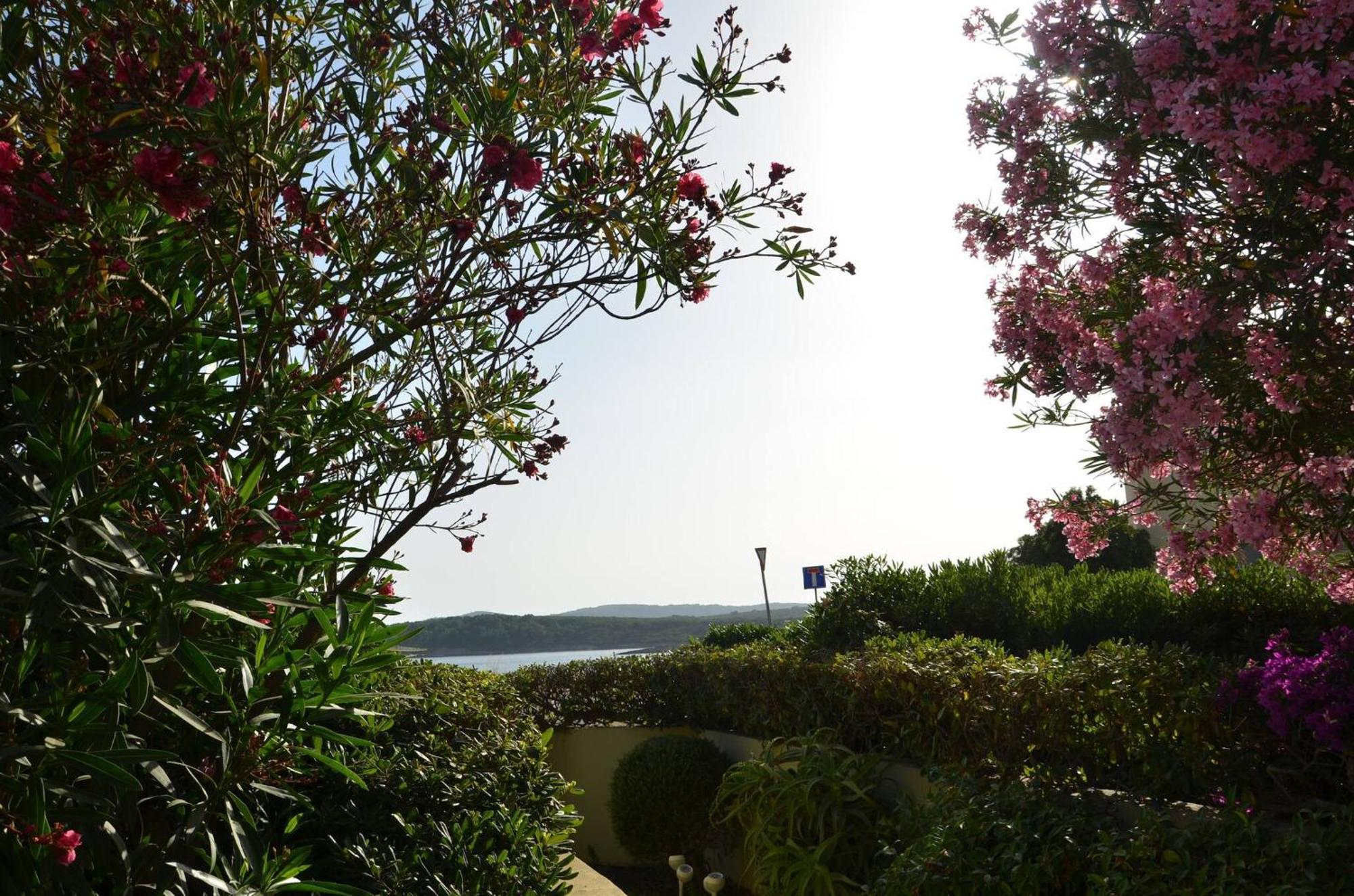 Fantastic Sardinia Villette Con Giardino Fronte Mare Fertilia Faho-Gav01-Gav02 Екстер'єр фото