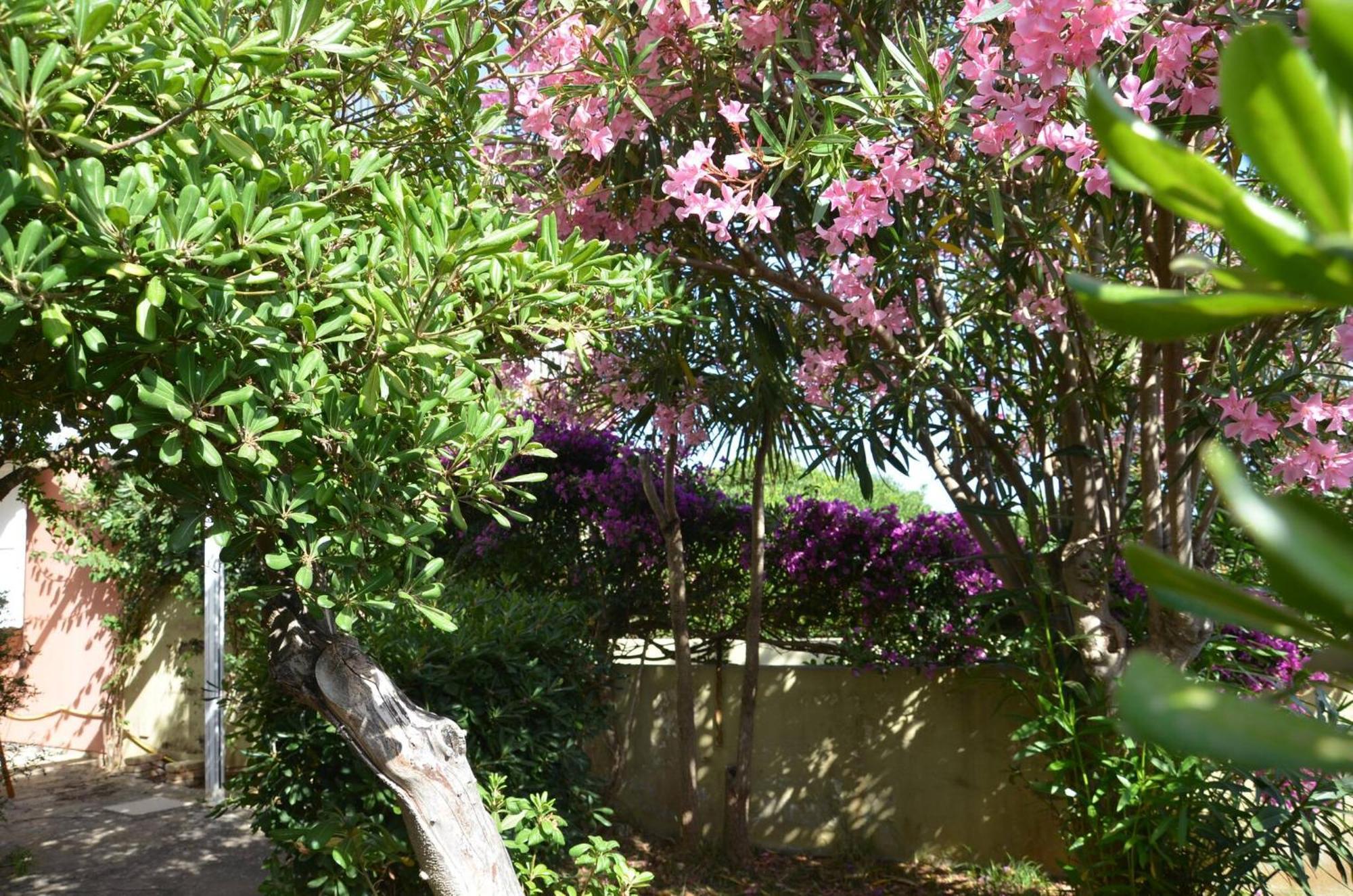 Fantastic Sardinia Villette Con Giardino Fronte Mare Fertilia Faho-Gav01-Gav02 Екстер'єр фото