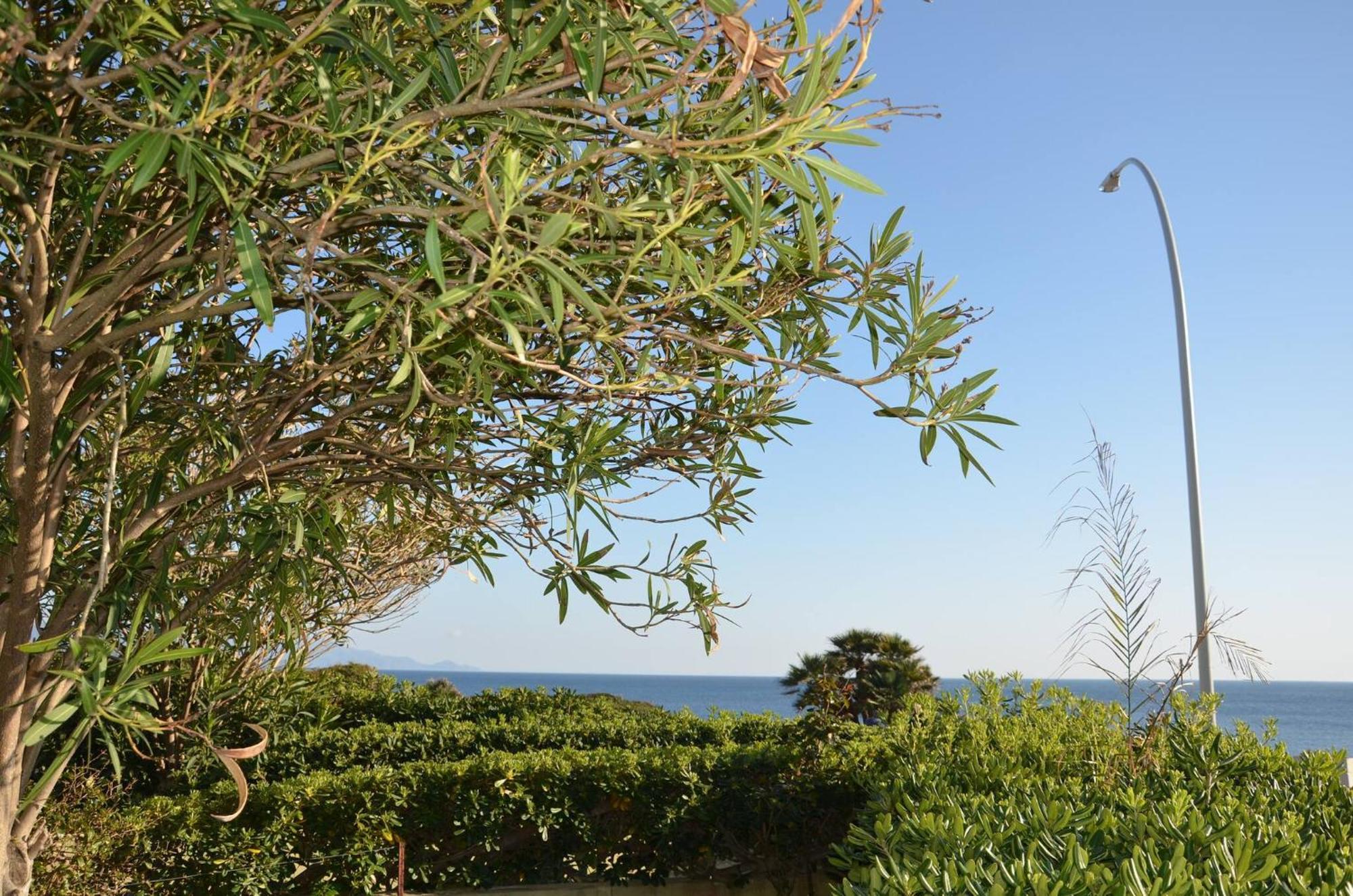 Fantastic Sardinia Villette Con Giardino Fronte Mare Fertilia Faho-Gav01-Gav02 Екстер'єр фото