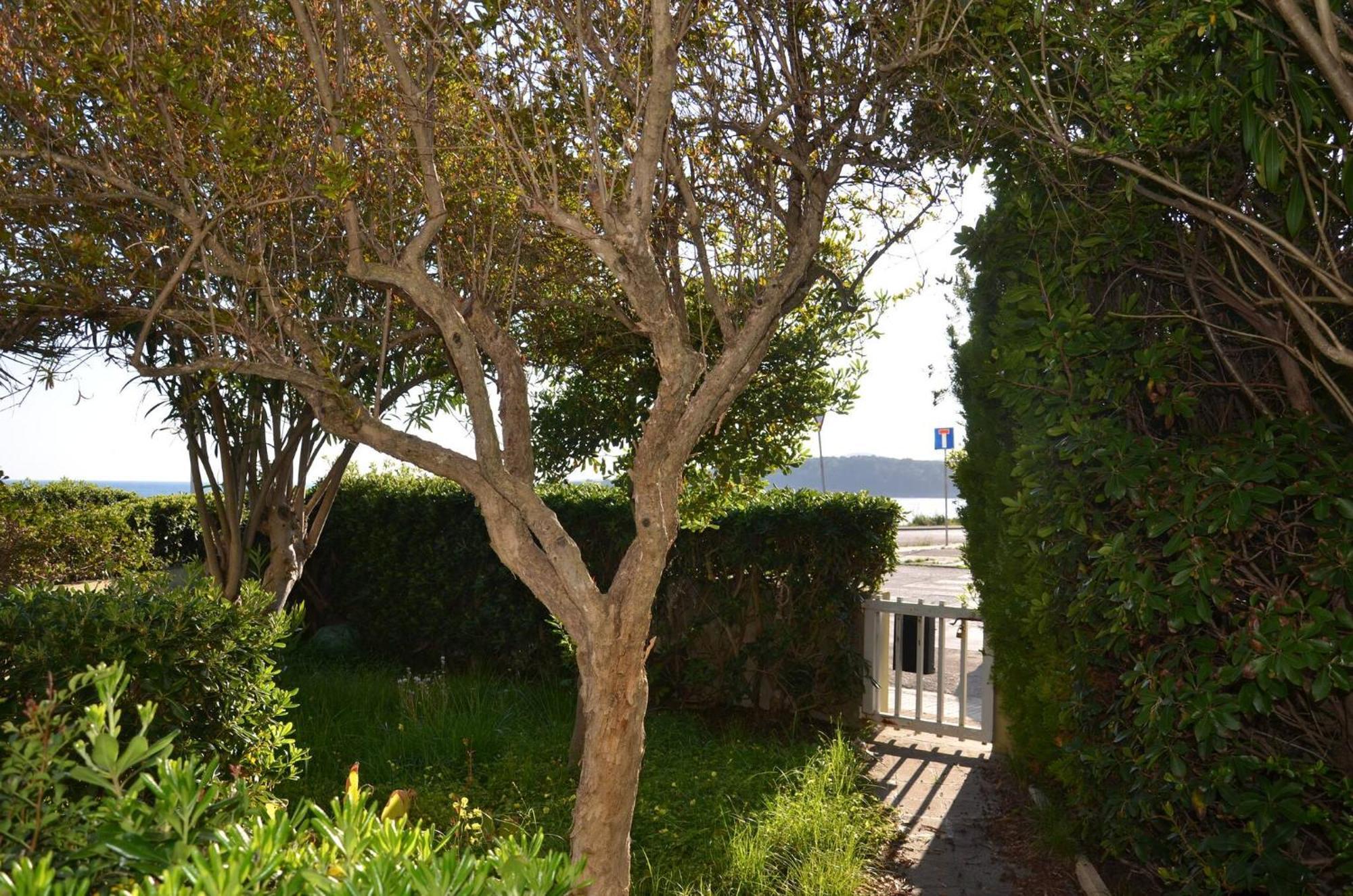 Fantastic Sardinia Villette Con Giardino Fronte Mare Fertilia Faho-Gav01-Gav02 Екстер'єр фото